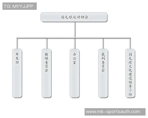 羽毛球战术解析与上海羽毛球队运营体系的深度剖析与实践探索